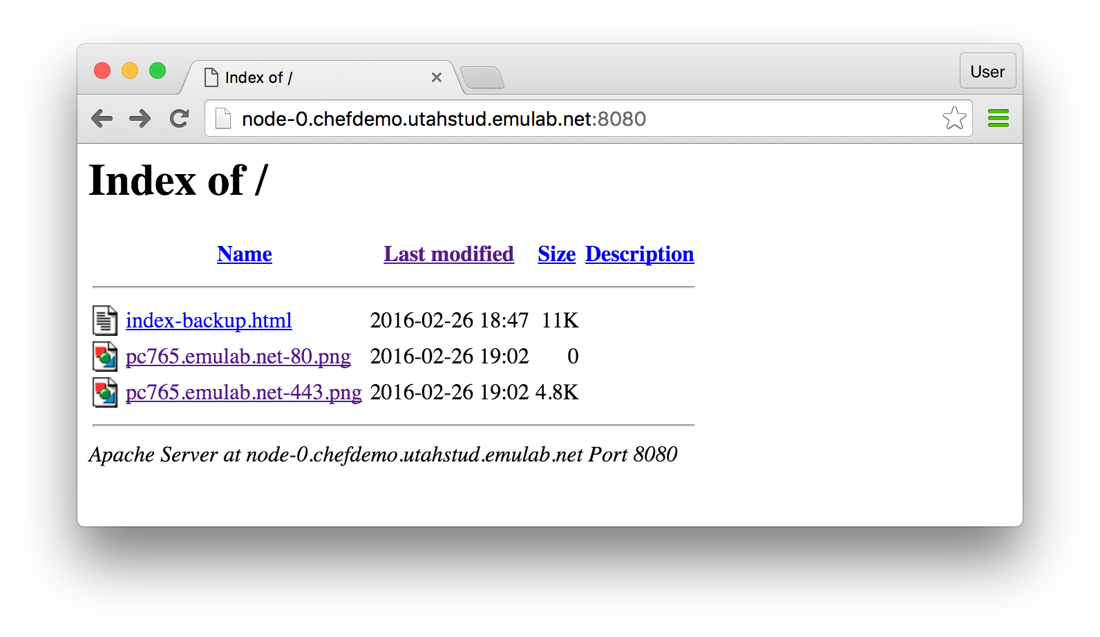 screenshots/clab/chef-tutorial/apache-dir-listing-0.png